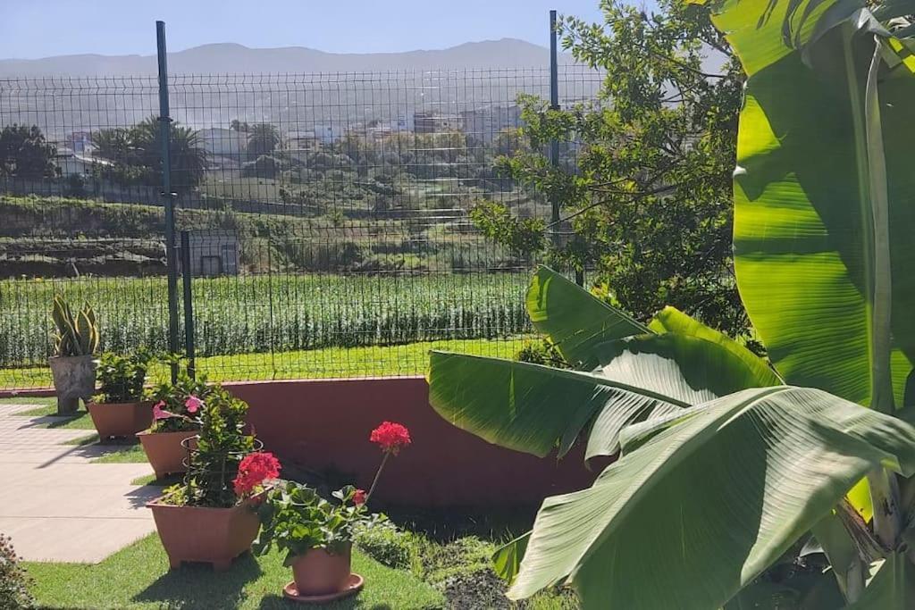 Casa Mamatina, En Los Realejos Zewnętrze zdjęcie