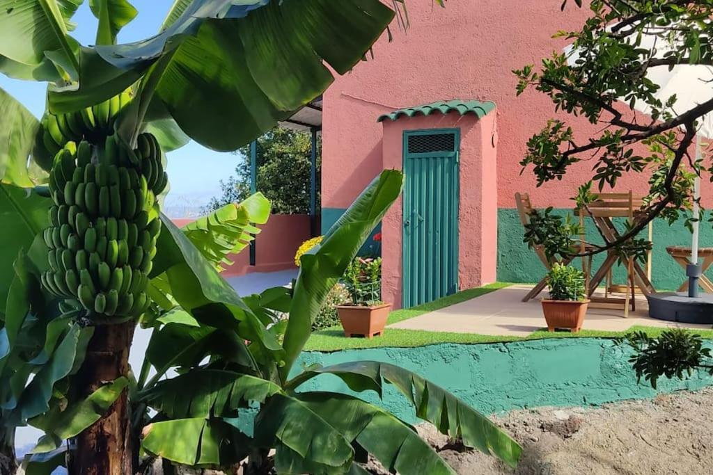 Casa Mamatina, En Los Realejos Zewnętrze zdjęcie
